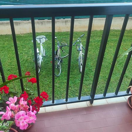 Ani Apartamento Porto SantʼElpidio Exterior foto